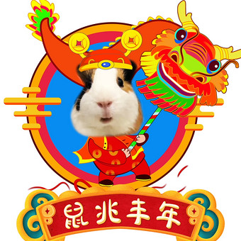 鼠年,舞龙动态表清包gif,老鼠动态表情