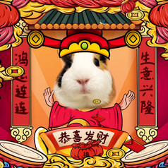 老鼠断舍离六根清净手捧莲花表情包动图