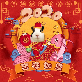 2020吉祥如意鼠年老鼠表情包GIF