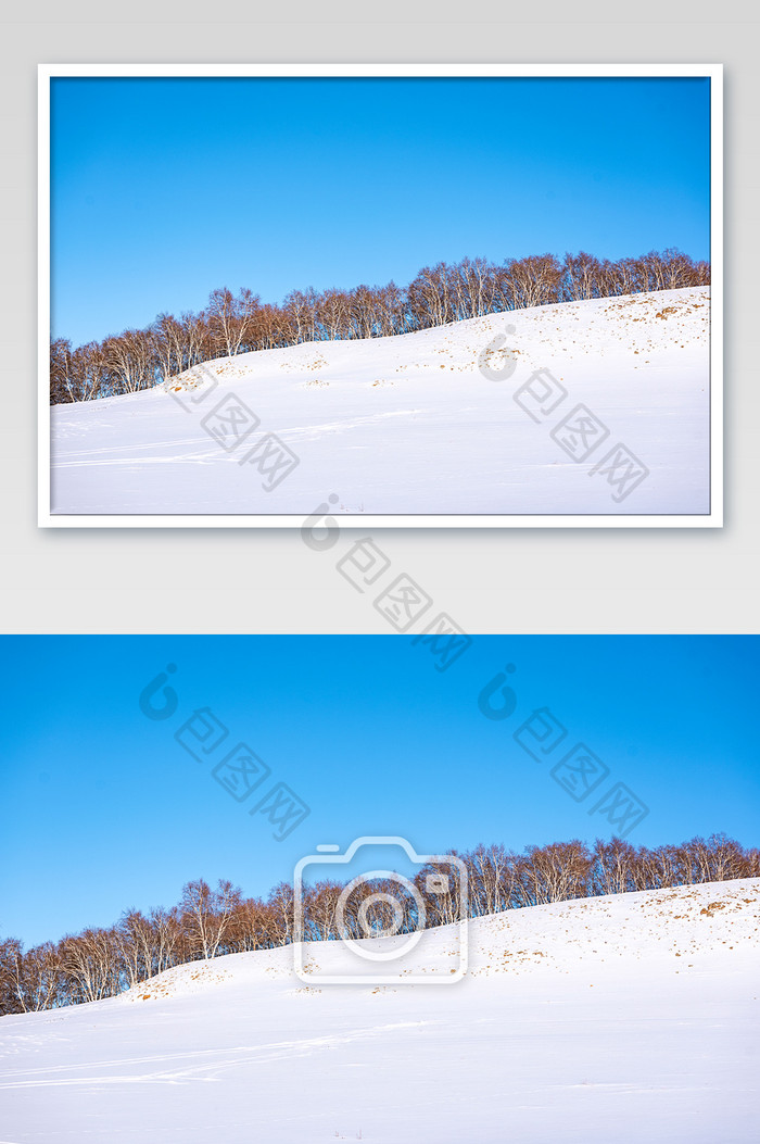 冬季的草原蓝天白雪