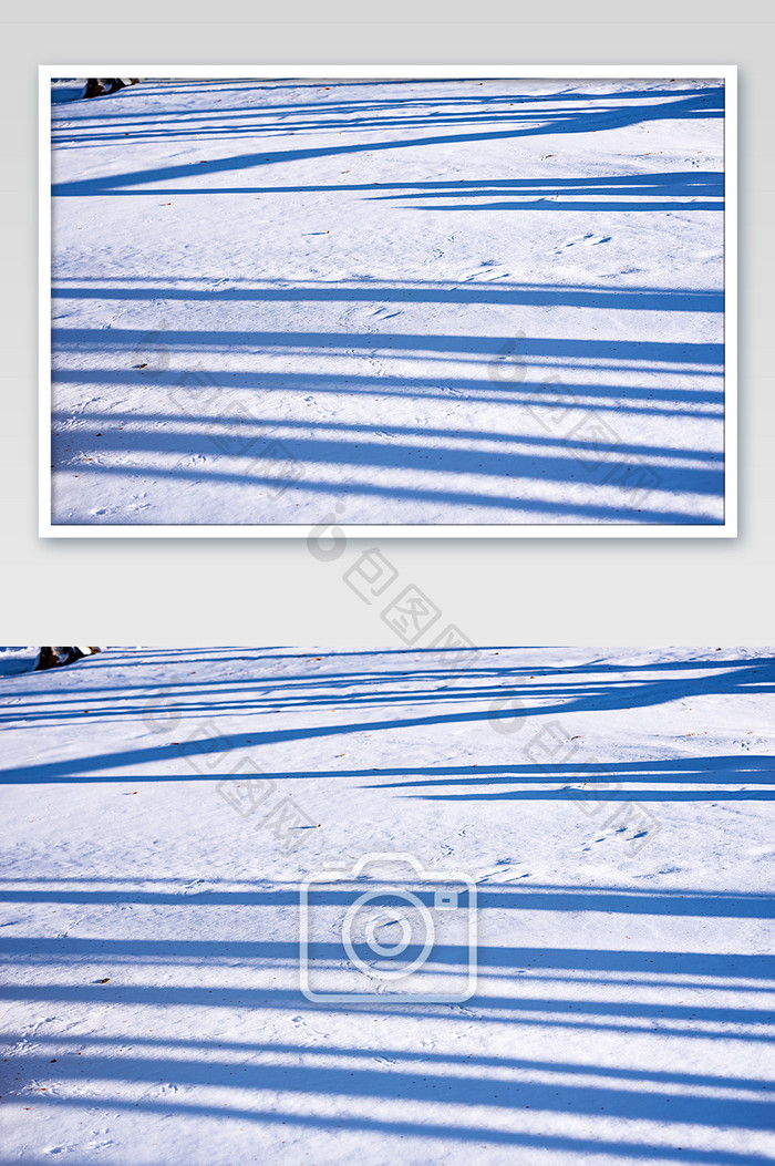 白雪树影冬季草原的光影图片