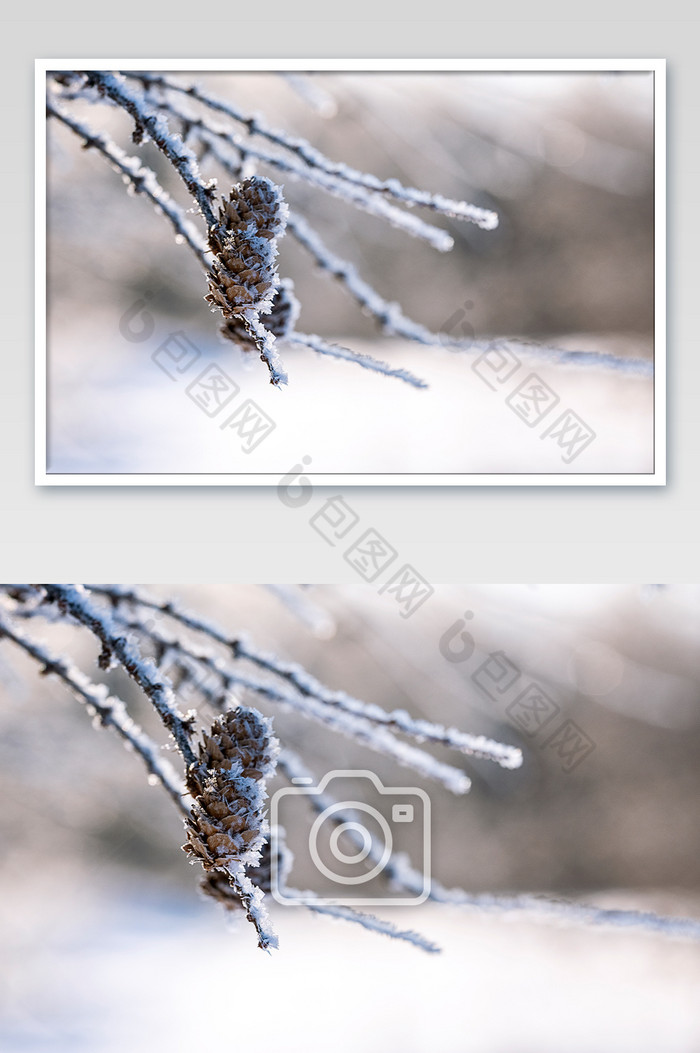 霜冻小雪大雪小寒海报摄影图图片图片