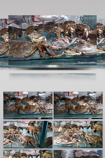 1080P实拍海鲜螃蟹图片