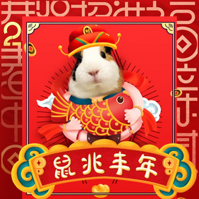 鼠年迎财神2020年新年动态表情包GIF