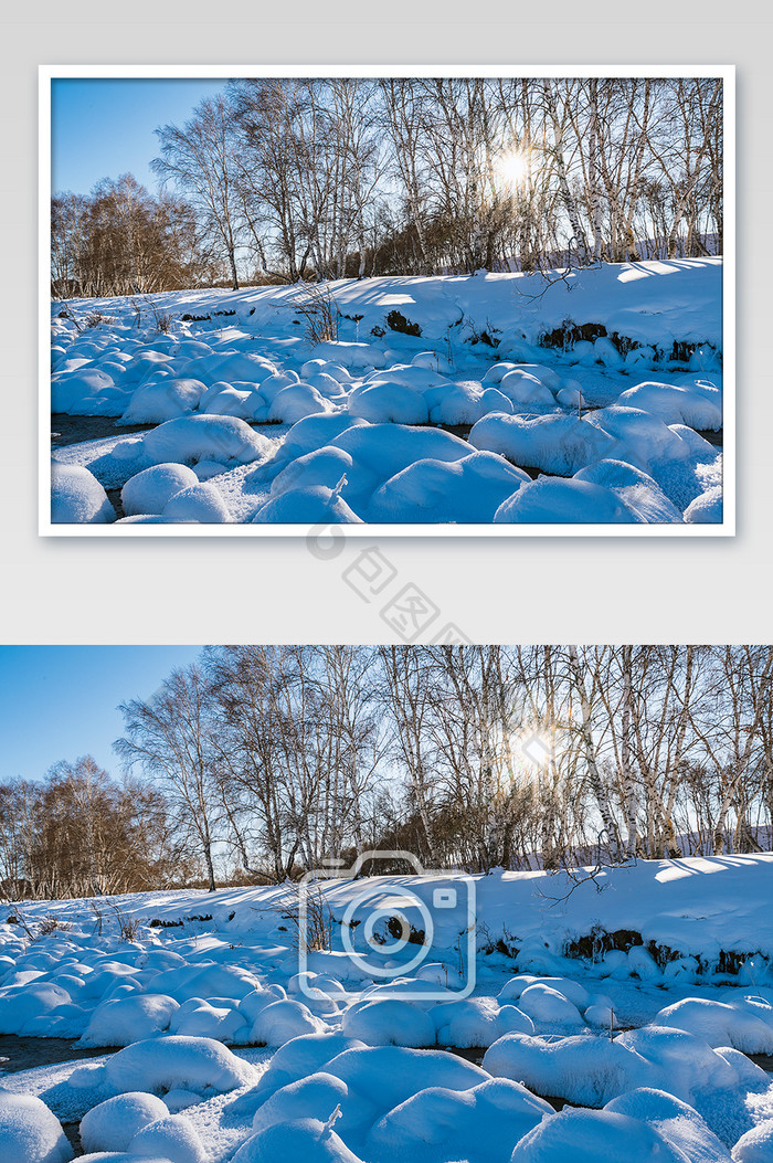 冬季草原逆光树影雪景清晨阳光