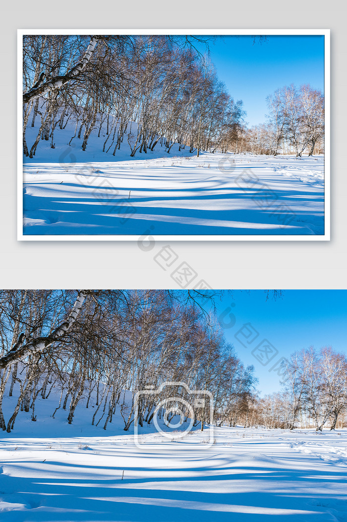 树影阳光在冬日的白色雪地上