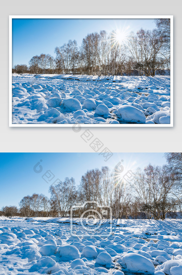 蓝天树影星芒雪原