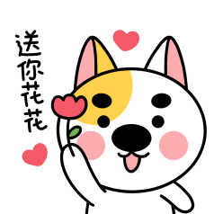 阿柴男孩表情包20给你小花花gif图