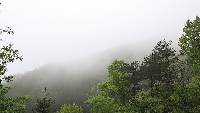 实拍高清延时皖南高山烟雨