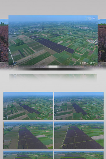 航拍陕西规模化绿化苗木种植基地视频图片