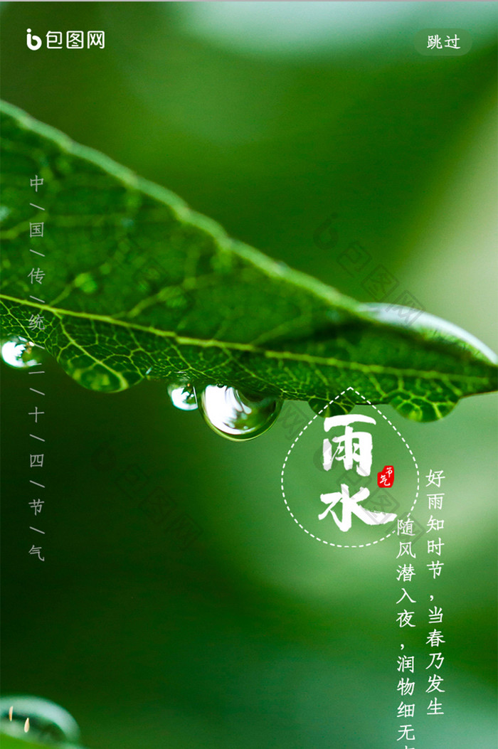 绿色简约风雨水节气启动页面