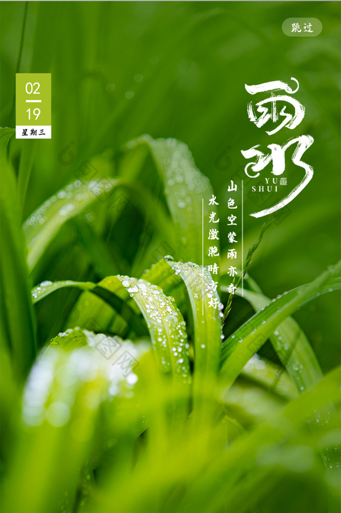 绿色小清晰雨水节气