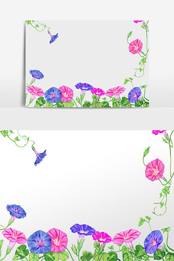 彩色牵牛花边框插画图片下载