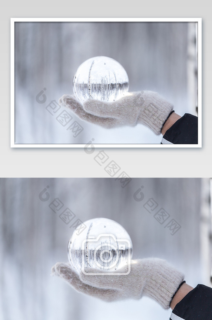 创意的摄影水晶球白桦林大气小清新摄影图片