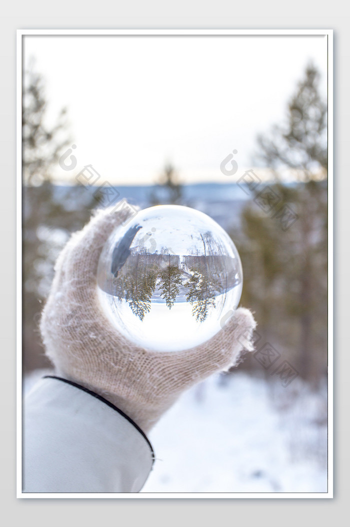 创意摄影水晶球白桦林大气小清新摄影图片