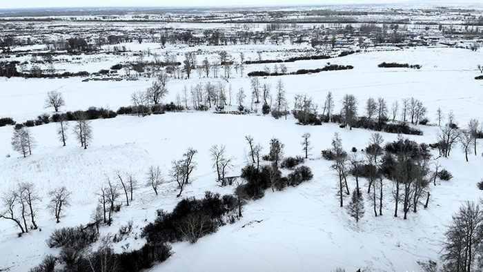 航拍新疆阿勒泰市郊区植被树木雪地雪景实拍