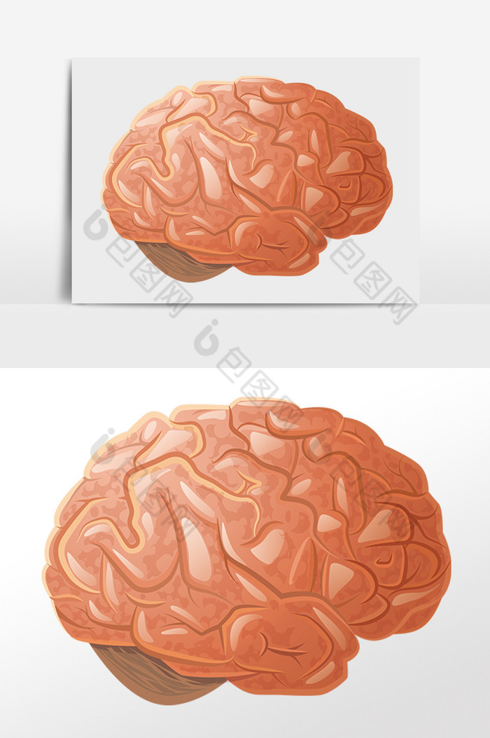 人体大脑人脑脑袋图片图片
