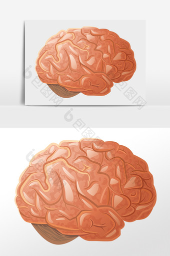 人体大脑人脑脑袋图片