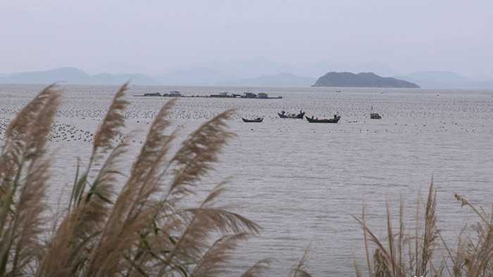 实拍连江湾美丽的沙海滩风光视频