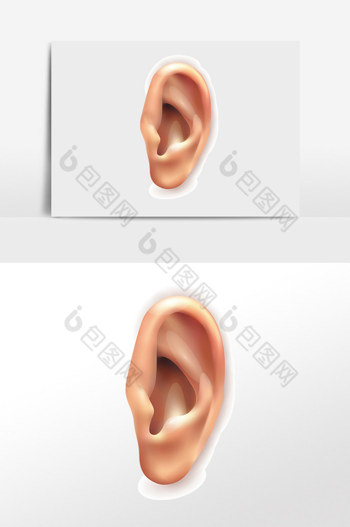 人体器官耳朵插画图片图片