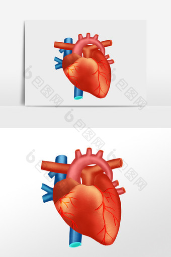 卡通手绘人体器官心脏动脉静脉插画图片