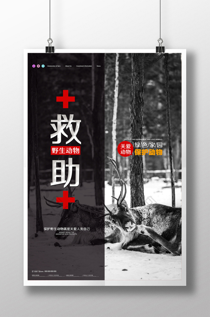 包图网提供精美好看的救助野生动物素材免费下载,本次作品主题是广告
