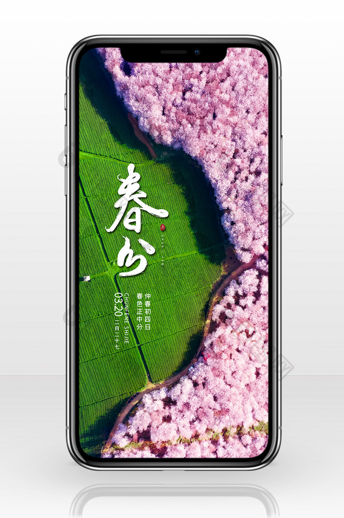 小清新粉色樱花二十四节气春分手机配图