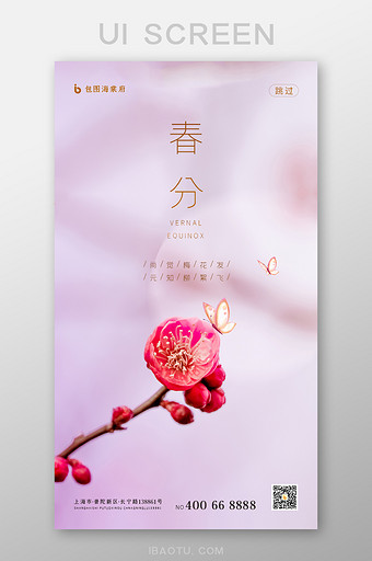 粉色梅花二十四节气春分移动启动页面图片