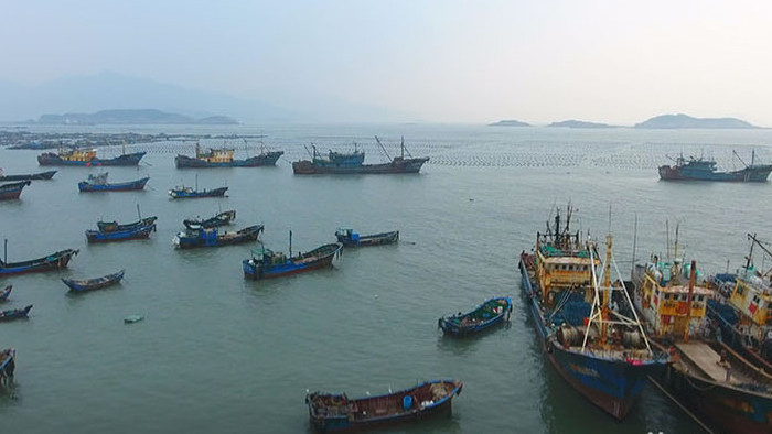 航拍连江海湾渔船队捕鱼归来视频