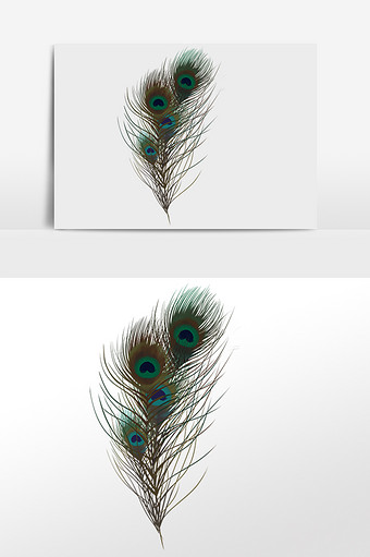 唯美轻浮孔雀羽毛