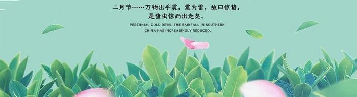中国风清新惊蛰节气海报动图GIF