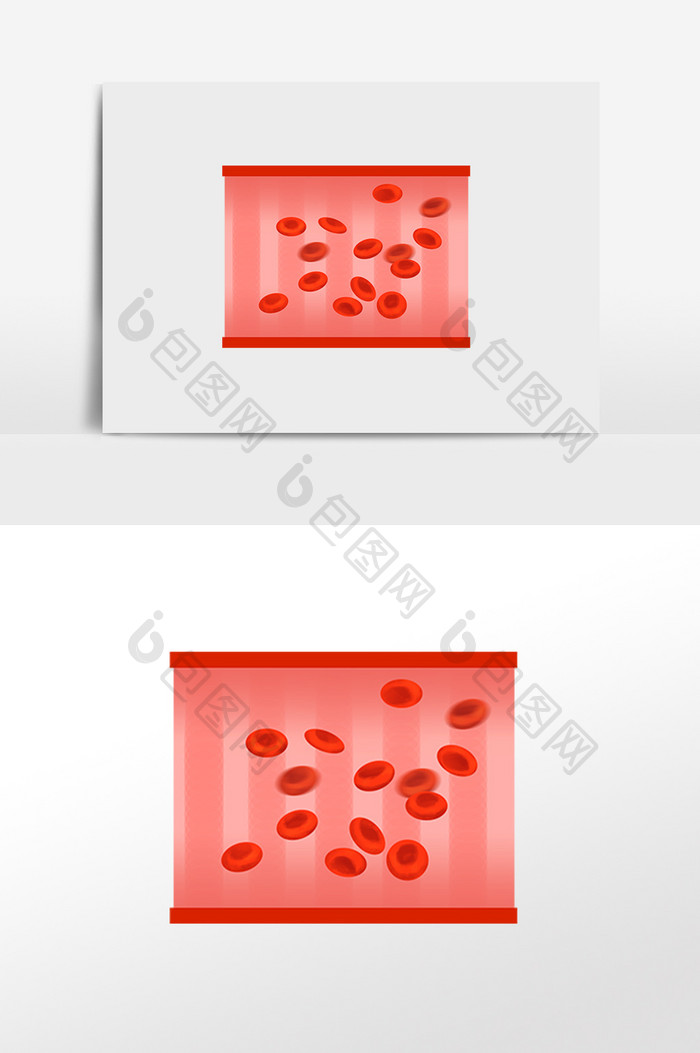 红细胞血细胞管壁