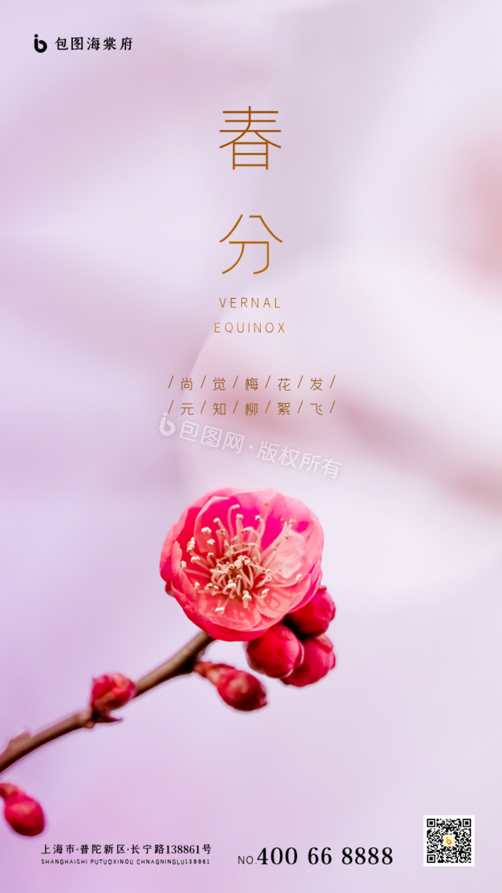 粉色梅花二十四节气春分动态海报GIF图片