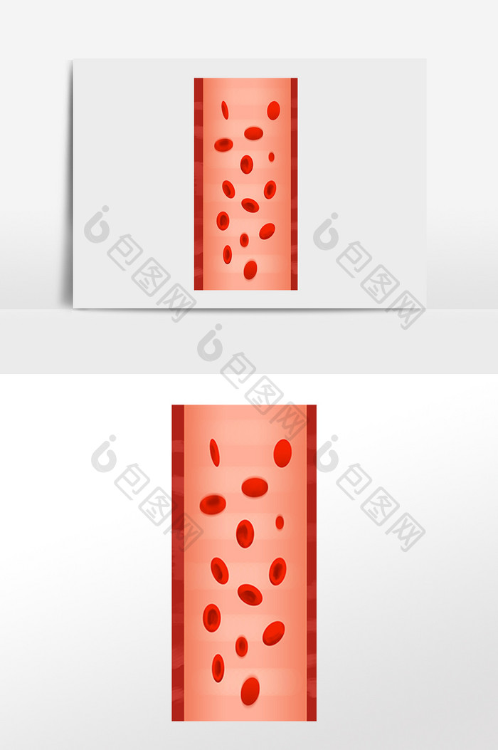 红细胞血管壁冠脉血管