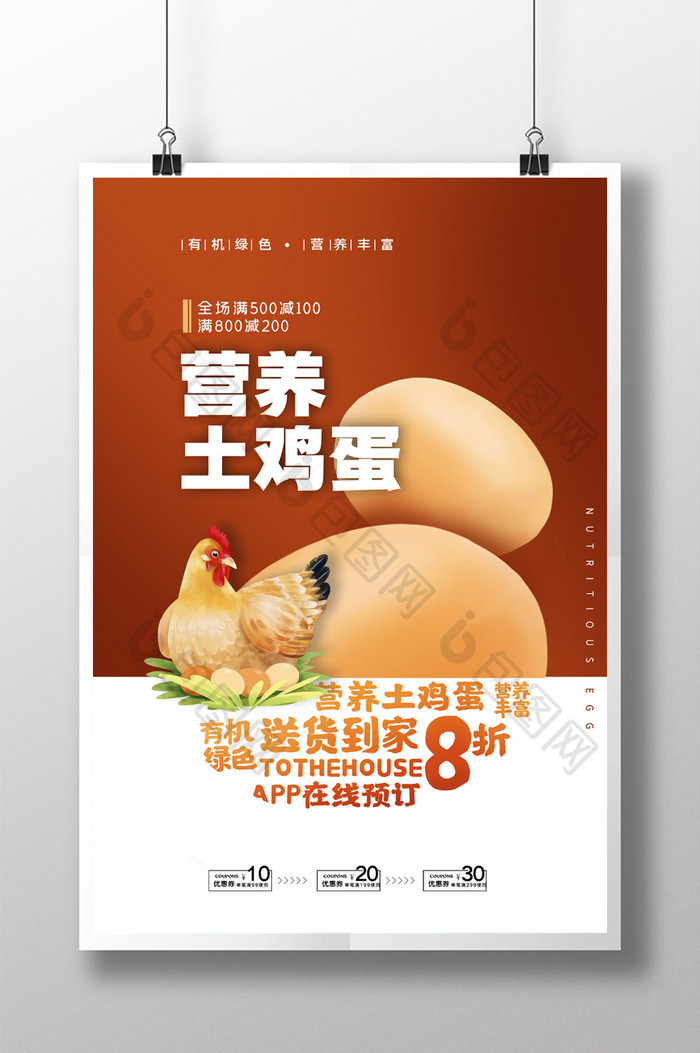 简约营养土鸡蛋送到家海报设计