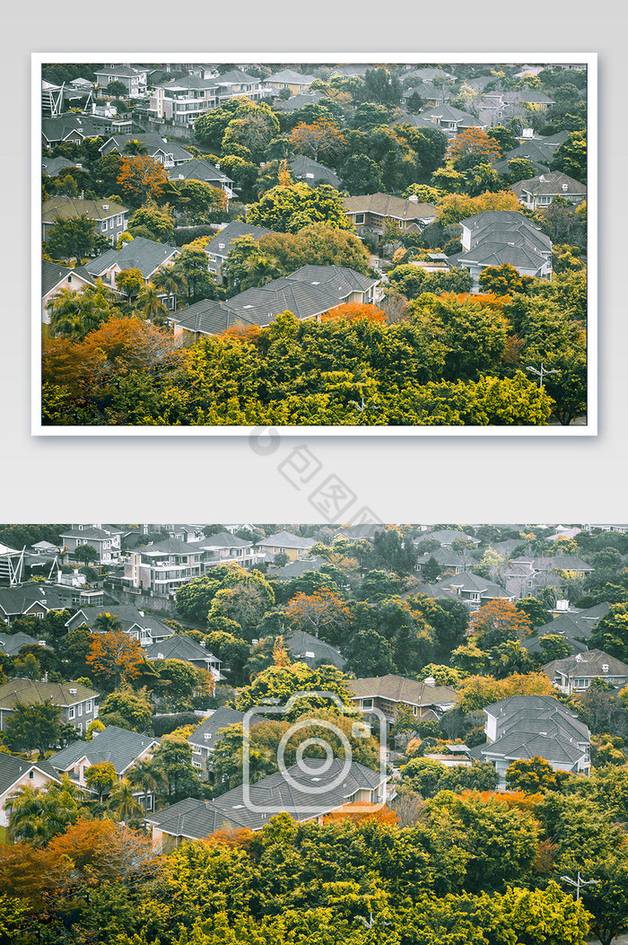 清新森林里的别墅摄影图图片图片