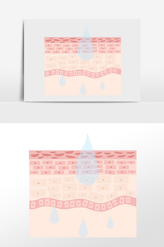 吸收皮肤吸收补水