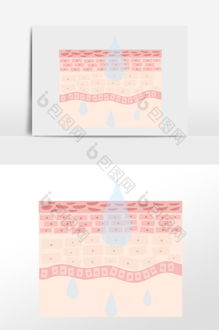 吸收皮肤吸收补水图片图片