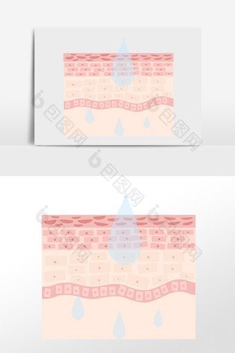 吸收皮肤吸收补水图片