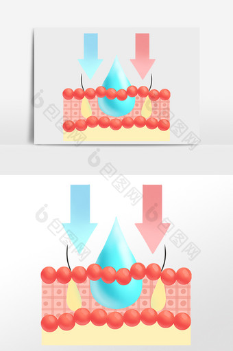皮肤吸收补水水分图片