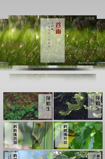 简洁视频气候春天谷雨节气展示说明AE模板图片