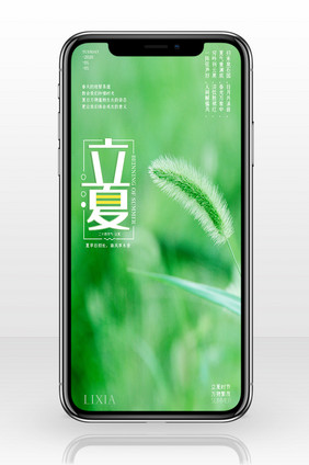 绿色简约二十四节气立夏手机配图