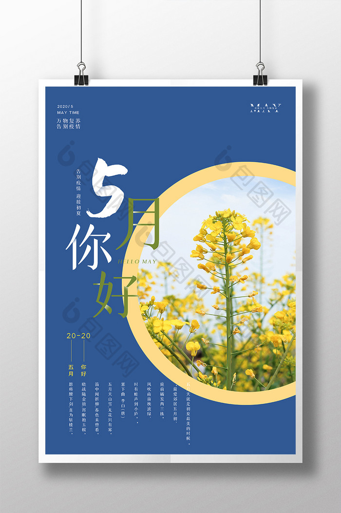 简约清新5月你好节日海报