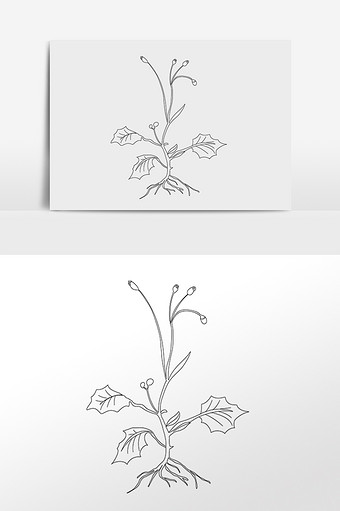 线描中药中草药中药药材