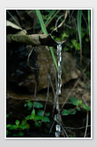 山间竹子水流摄影图图片