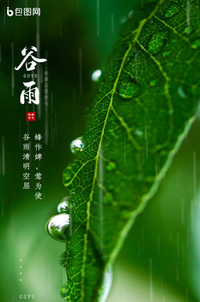 绿色清爽谷雨节气动态海报GIF