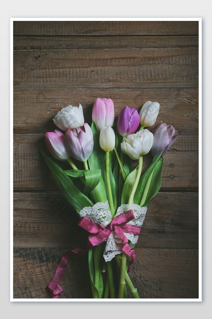 粉紫色郁金香花束摄影图片