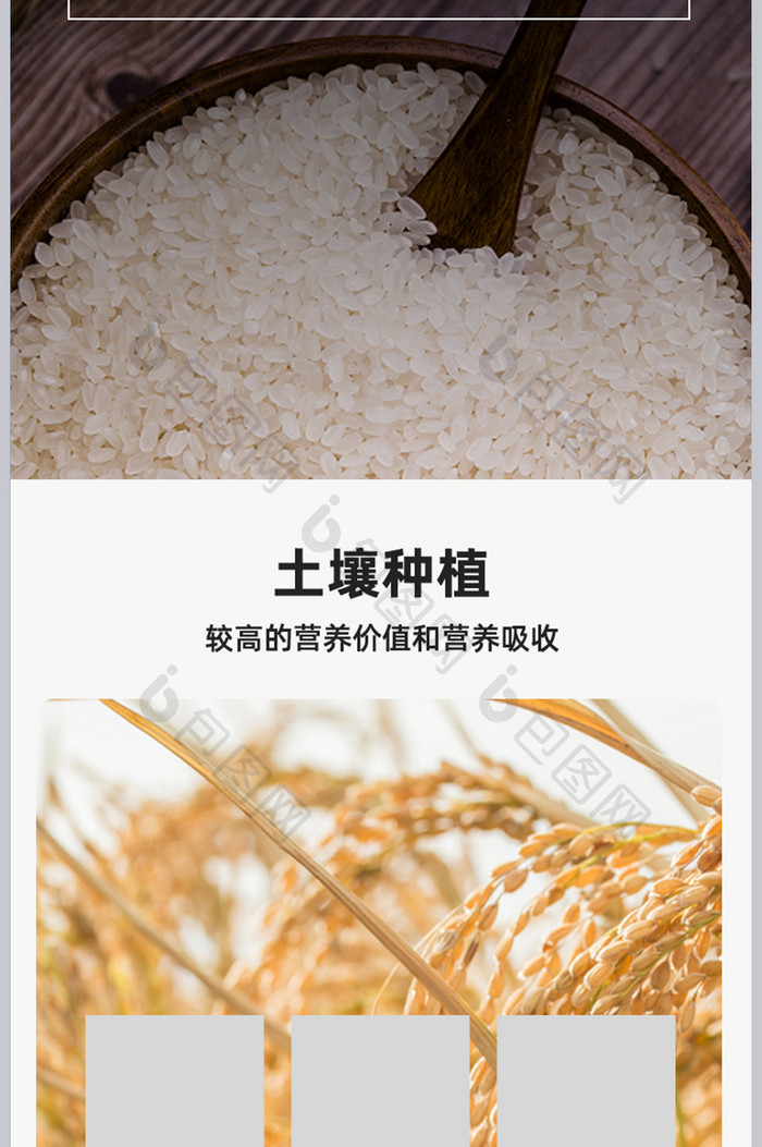 优良大米粗粮杂粮糙米农家特产大米详情页