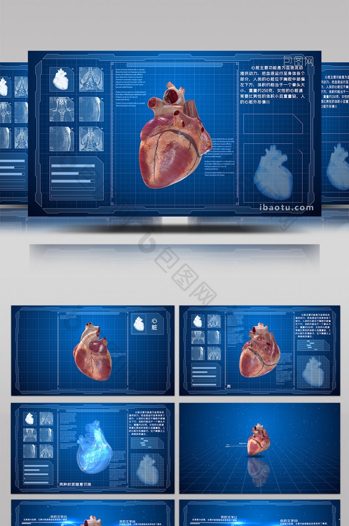科技医疗心脏结构器官三维动画说明展示包装