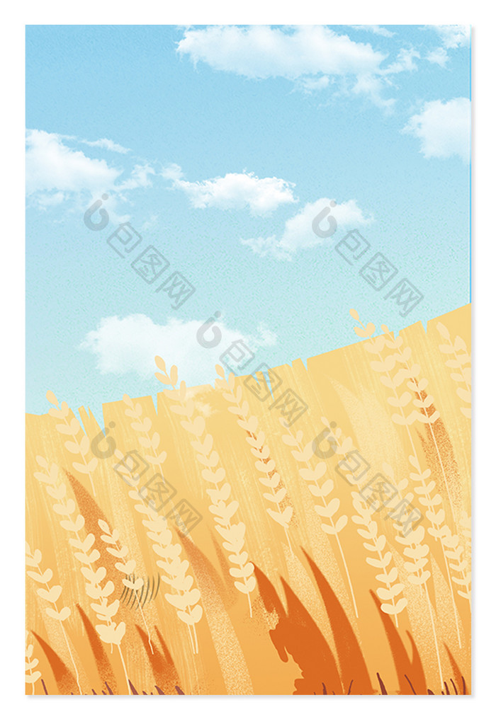 黄色麦穗小满夏季收获背景